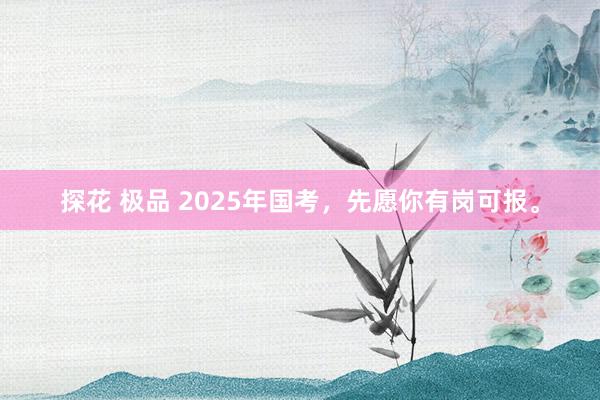 探花 极品 2025年国考,先愿你有岗可报。