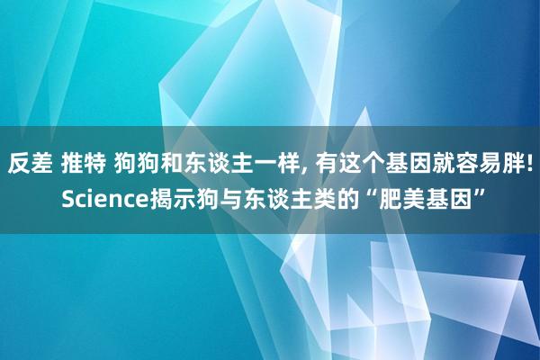 反差 推特 狗狗和东谈主一样， 有这个基因就容易胖! Science揭示狗与东谈主类的“肥美基因”