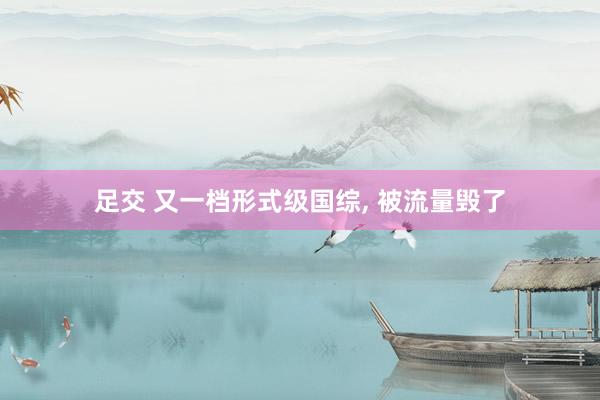 足交 又一档形式级国综， 被流量毁了